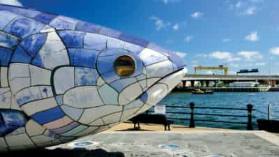 The Big Fish Logo