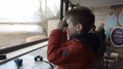 RSPB Belfast’s Window on Wildlife (WOW) Logo