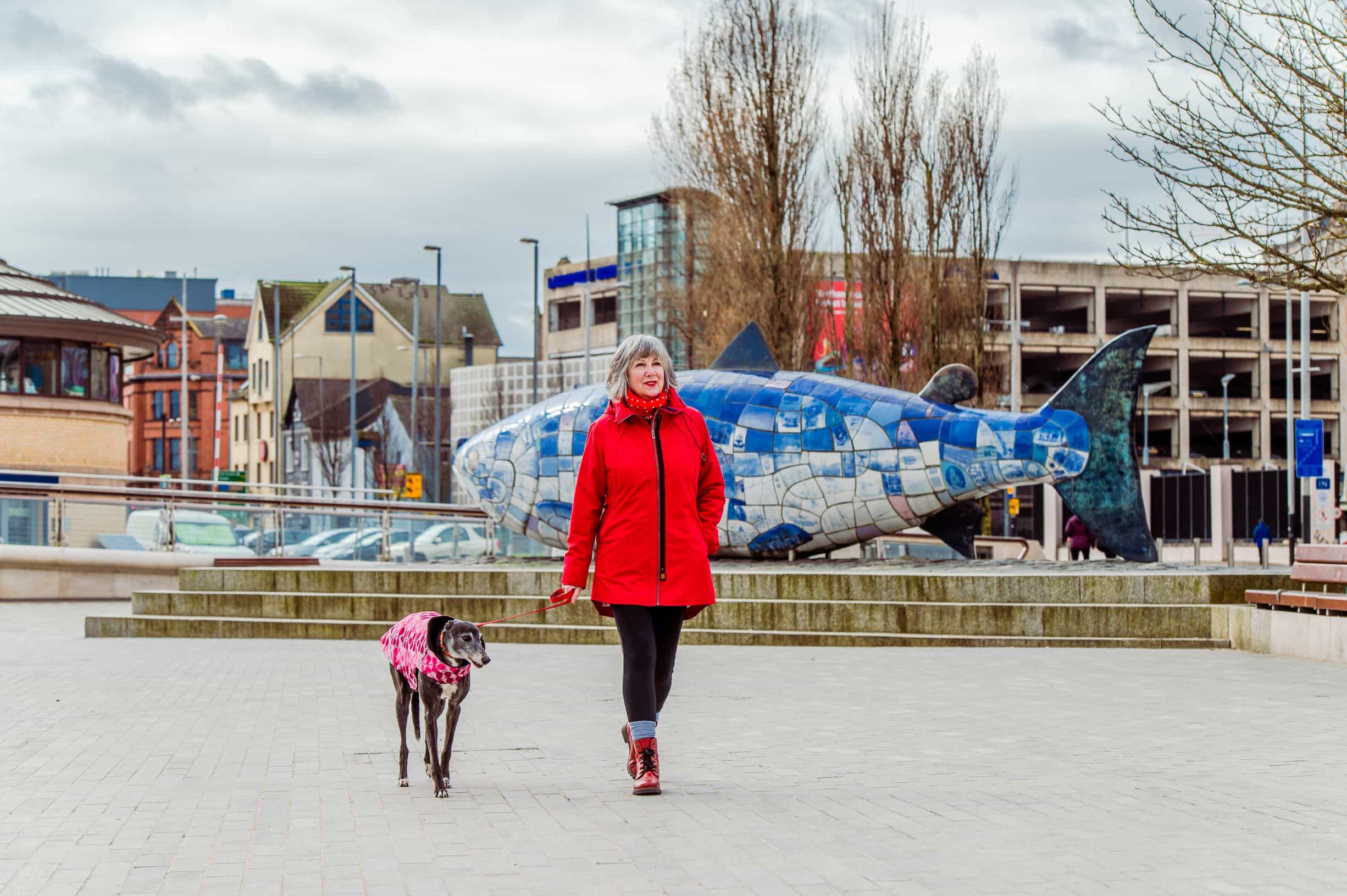 Hello Maritime Mile Dog Walking Belfast