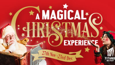 A Magical Christmas Experience